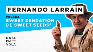 CATA EN VOLÁ: FERNANDO LARRAÍN| SWEET ZENZATION DE SWEET SEEDS®️