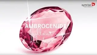 Ambrocenide® Cryst. - expert talk