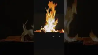 #video #song #story #trending #iphone #train #tour #travel #dog #cat #fire #winter #shorts #viral #w
