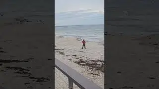 Henley Beach ⛱️ Australia  #australia #beachaesthetic #beachvibes #beachday #australiadiaries #viral