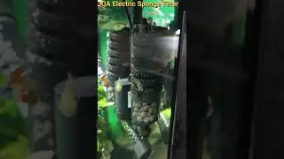 Лучший губчатый фильтр для аквариумов #fishtankequipment #fishtank #aquascape