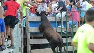 Festes Majors Deltebre