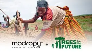 Modropy + Trees For The Future