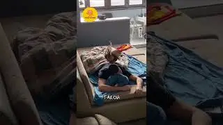 Утренний Пранк с Петухом 🐓 🎥 ilyasik