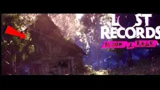 The Secret History of Mind Control and Lost Records bloom and rage Final part