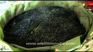 Rice beer being brewed in Arunachal Pradesh, North East India
