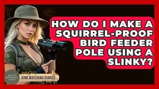 How Do I Make A Squirrel-Proof Bird Feeder Pole Using A Slinky? - Bird Watching Diaries