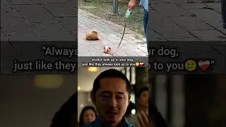 Dog sad moment💔 (The owner doesn't even turn around) #dog #sad #shorts