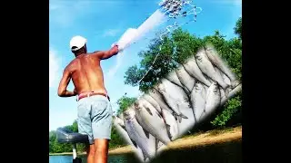 Gizzard Shad Galore w/ NINE FOOT Cast Net