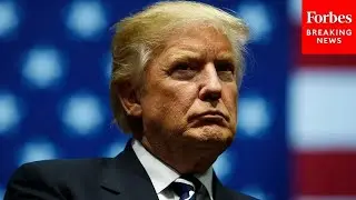 'He Doesn't Respect Any Authority But His Own': Top Historian Rick Perlstein Shares Take On Trump