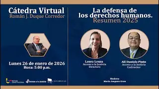 Acceso a la Justicia La defensa de los derechos humanos Resumen 2025
