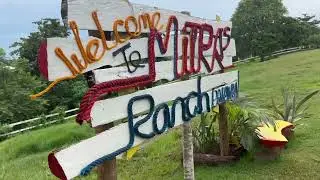 Mitra&rsquo;s Ranch Puerto Princesa Palawan Philippines 