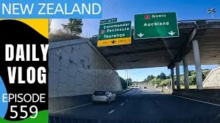 Back to Auckland! [Life in New Zealand Daily Vlog #559]