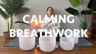 25 Minute Calming & Releasing Breathwork for Stress & Anxiety | Trauma Informed Yoga