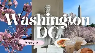 a day in washington d.c. // 🌸 tidal basin, cherry blossoms, tatte bakery, national mall, georgetown