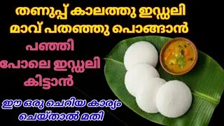 തുമ്പപ്പൂ പോലെ ഇഡ്ഡലി കിട്ടാൻ ഇങ്ങനെ ചെയ്താൽ മതി | soft idli | Idli recipe | idli batter 
