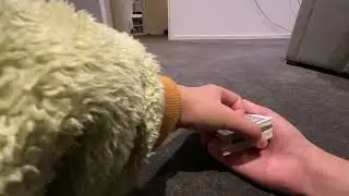 3 ways to get a pinky break under the spectators card