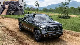 Toyota Tundra 700HP | OFFROAD - Forza Horizon 5 | Logitech G923 Steering Wheel