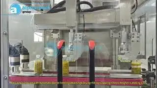 Fruit Juice with Automatic Bottle Feeding&Washing&Drying+Filling+Capping+Check Weigher+Label Line