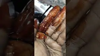 Glanza Car Oil Service...9500869583☎️#car #madurai #treanding #toyota #glanza #instagram #mechanic