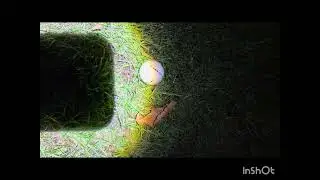 End of night fun. Shooting golf ball challenge.
