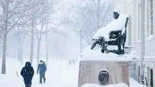 Back To The Yard: An Original Harvard 25th Reunion Song