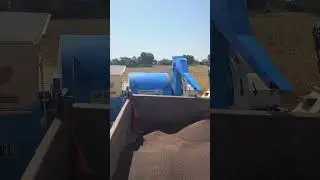khokhar hadamba thresher