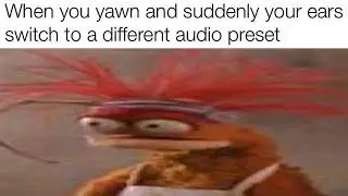 memes for your viewing pleasure