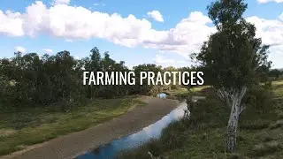 Sustainable Wagyu Production: JAC Wagyu&rsquo;s Regenerative Farming Practices