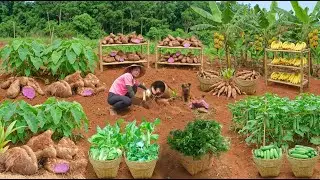 Harvest: Purple Yam, Mugwort, Bananas, Cassava, Cucumbers For Sale At The Market – Cook With Them