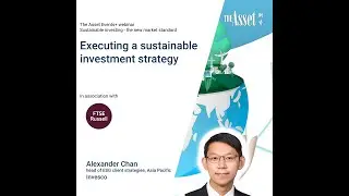 Executing a sustainable investment strategy