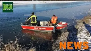 Reh im Eis, Hochsitze zerst&ouml;rt, kurioser Wildunfall &ndash; DJZ News 2/2017