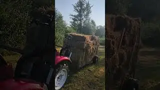 Sakupljanje Bala Sena #slavic