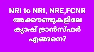 NRI to NRI, NRE to NRE, FCNR money transfer