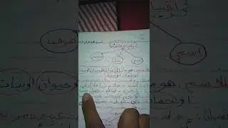 النحو في الكلام كالملح في الطعام 