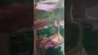 5 जनवरी 2026