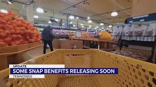 Partial SNAP benefits to be released to Tennesseans