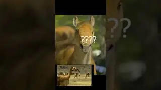WHY DOESN'T MACRAUCHENIA FROM PREHISTORIC PLANET HAVE A TRUNK??? - MESOZOIC CRAZY ERA #dinosaur #...