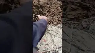 land mafia gaurav gupta grabbing land in sanganer and police is supporting mafia