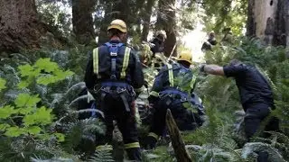 B.C. woman rescued several days after falling into ravine