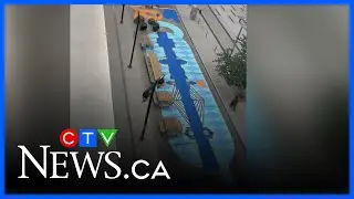 Graham Avenue gets a colourful makeover