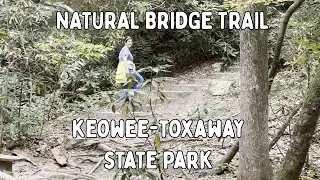 Natural Bridge Nature Trail - Keowee-Toxaway State Park Hiking - SC Waterfalls Hike