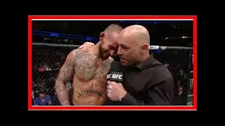 UFC/MMA Rumors: CM Punk's next UFC fight almost confirmed By J.News