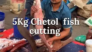 Amazing big 5kg chatol  fish 🐟 cutting 