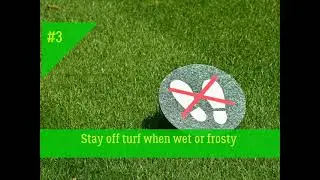 January Top Tips for Lawncare from the turf experts, Turffit