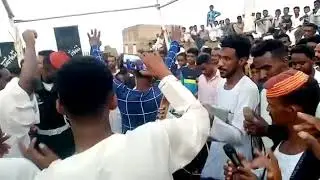 محمد نايل