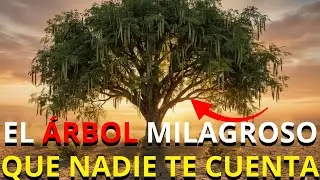 Una sola semilla contra un imperio: El &aacute;rbol que no quieren que cultives.