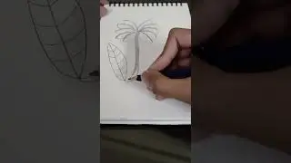 Easy Plant sketch 