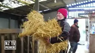 RARE BREED - A FARMING YEAR