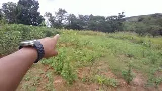 FAZENDA CM  40 HEQUITARESA VENDA NO MUNICÍPIO DE FRUTA DE LEITE MG, 3 KM DA CIDADE (38)998289680